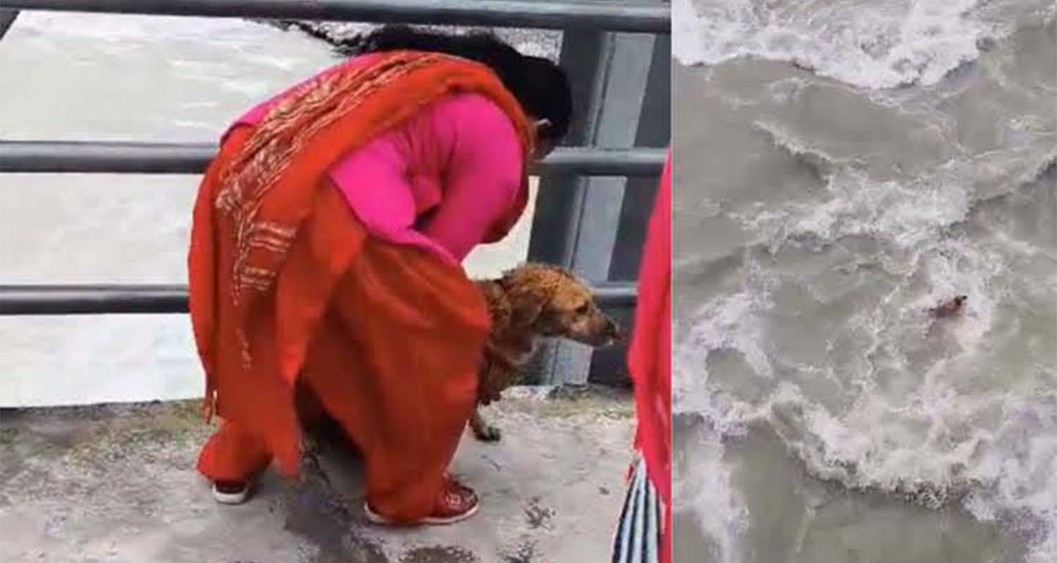 Woman arrested for throwing live dog into Seti River